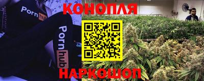 молекула духа Тверь