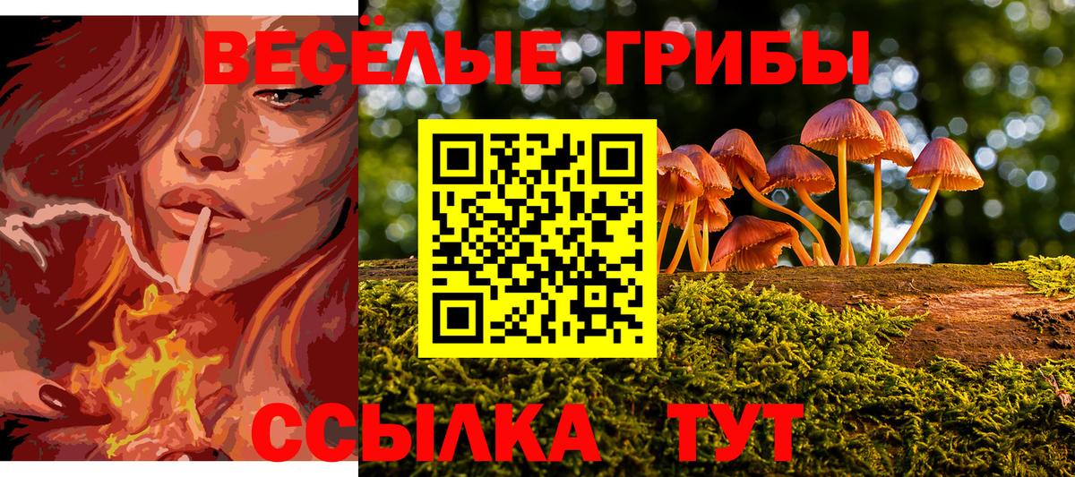 Псилоцибиновые грибы Cubensis  Вход с VPN  дарнет шоп  Анжеро-Судженск  Галлюциногенные грибы Psilocybe 