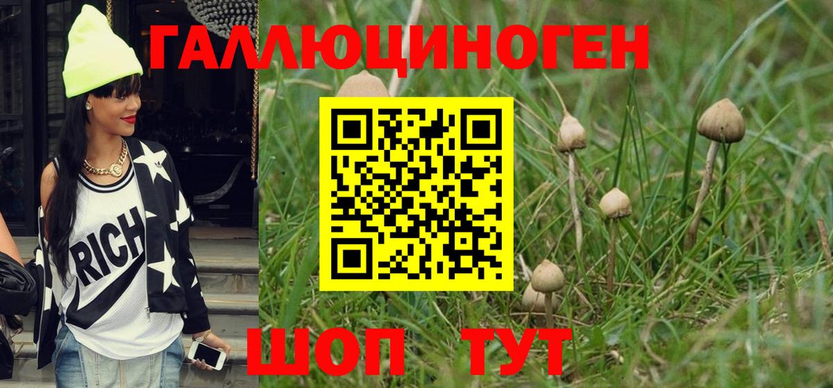 Галлюциногенные грибы MAGIC MUSHROOMS Анжеро-Судженск